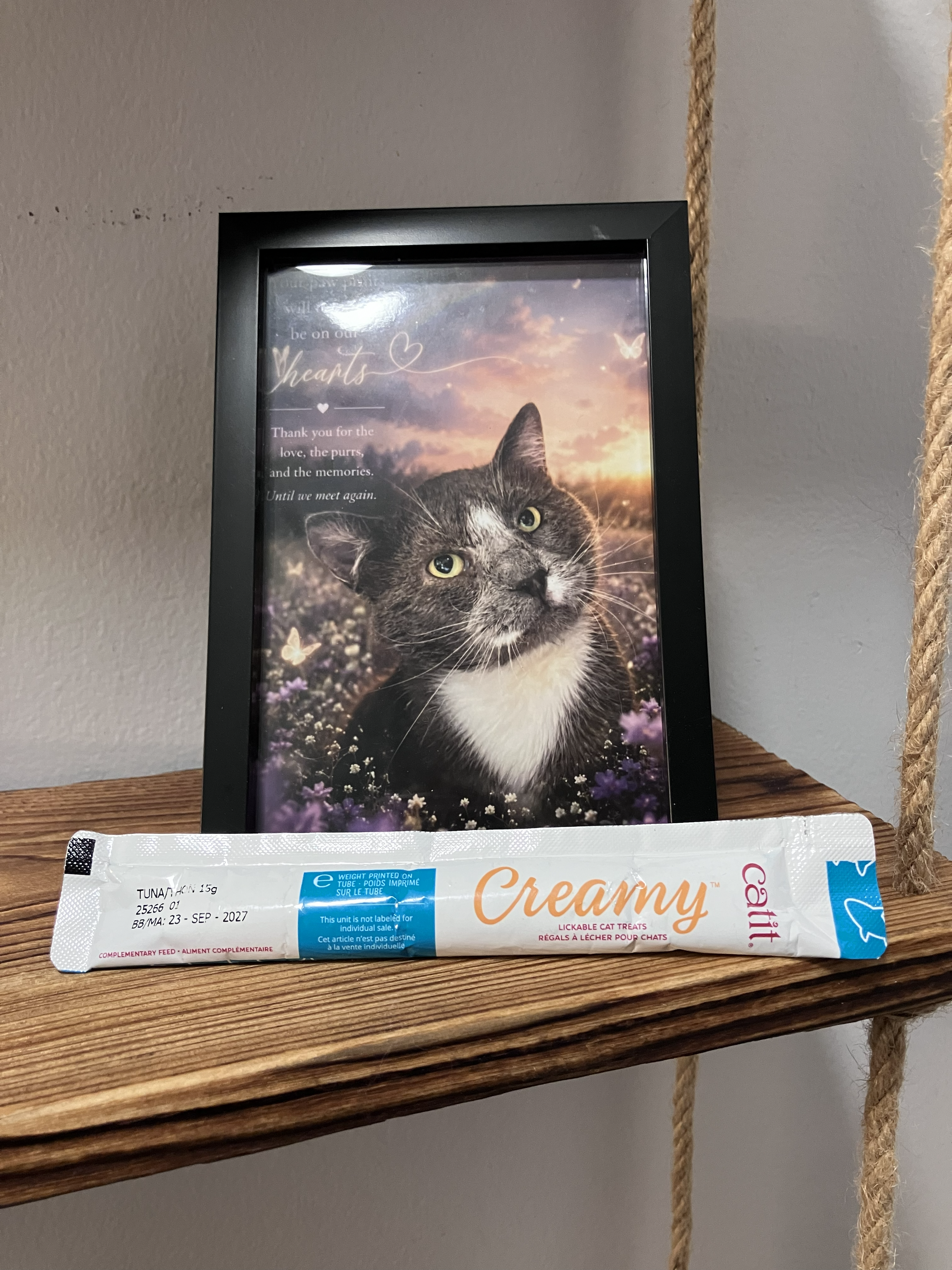 Emergency Creamy, a highly regulated archival emergency resource
