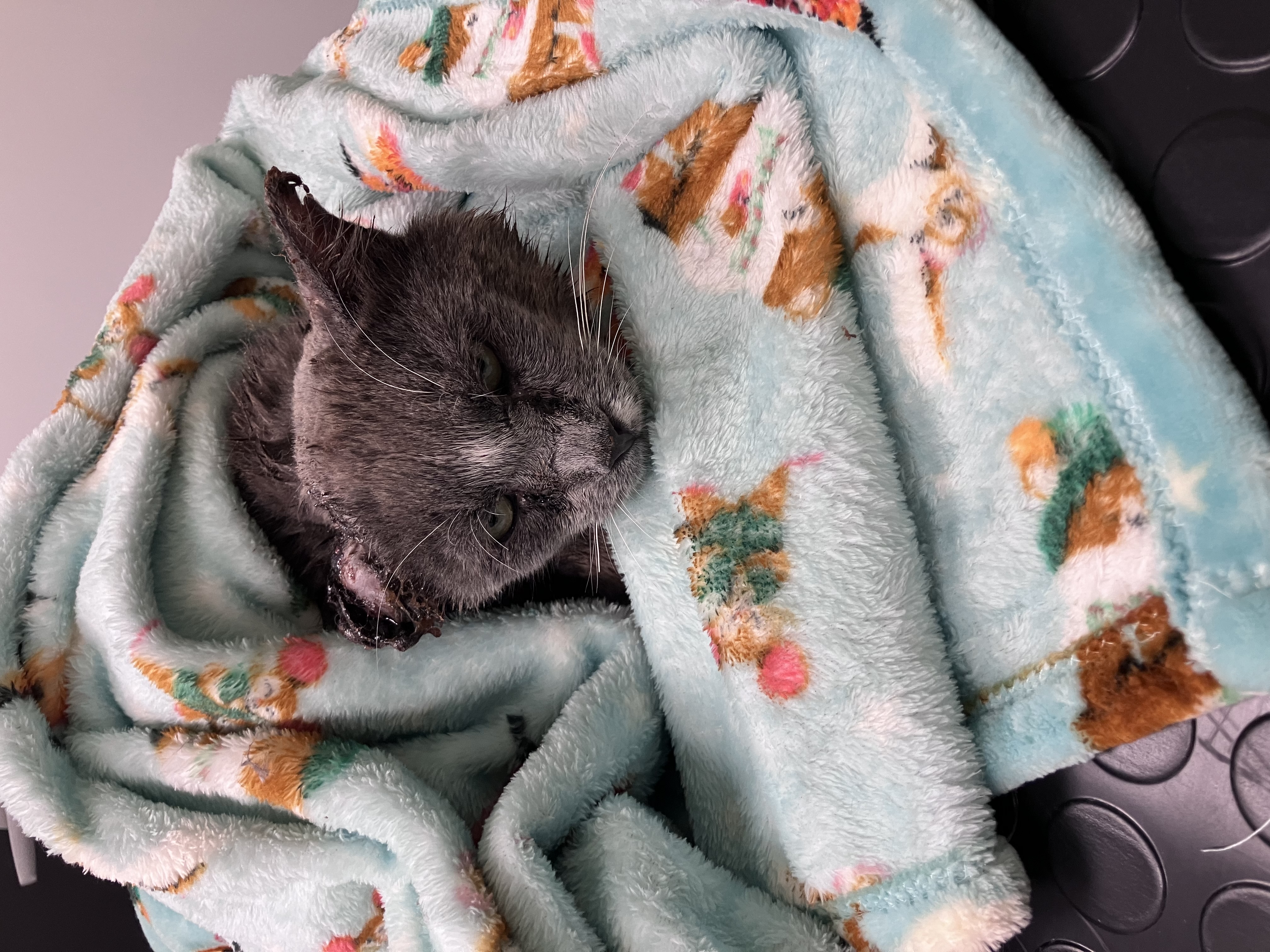 Fraggle's Lucky Blanket, in use