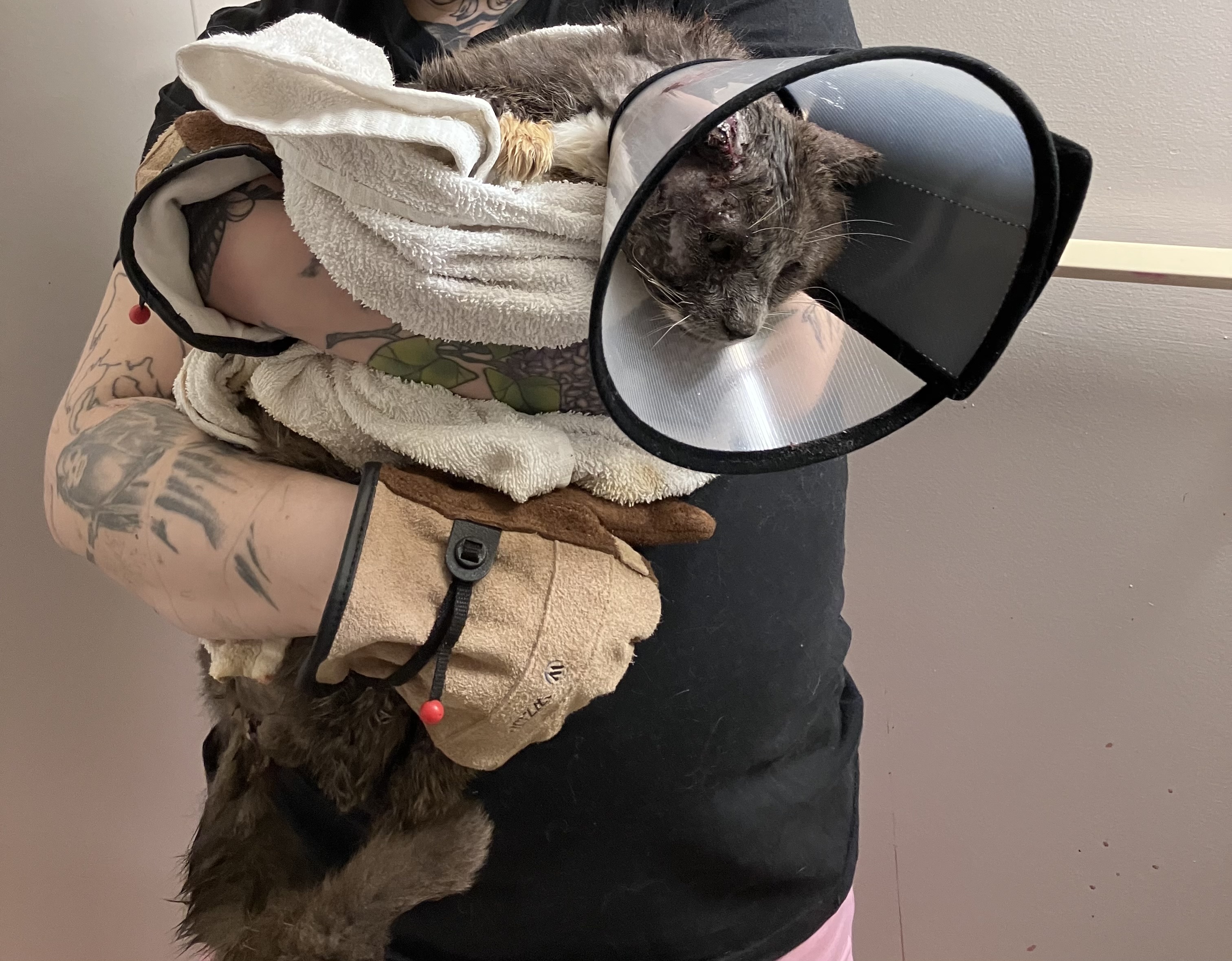 The gloves used while caring for Fraggle, in use